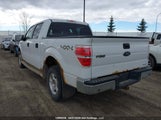 Ford F150 Supercrew 1FTFW1EF1DFB77655 снимка