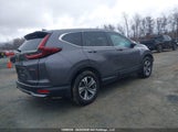 Honda Cr-V Lx 2HKRW2H26MH202132 снимка