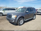 Ford Escape Xlt Automatic 1FMCU93G69KB07288 снимка