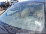 Nissan Sentra 2.0/2.0S/2.0Sl 3N1AB61E27L606976 fotografie