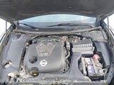 Nissan Maxima 1N4AA5AP7DC826364 photo