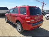 Ford Escape Xlt 1FMCU9DG3AKD35526 снимка