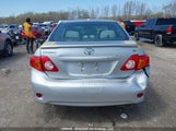Toyota Corolla 2T1BU4EE4AC208298 снимка