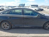 Hyundai Sonata 5NPE24AF5GH266475 снимка