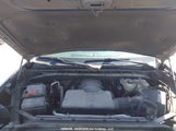 GMC Sierra K1500 Elevation 1GTU9CED3LZ351554 снимка