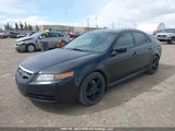 Acura Tl 19UUA66264A805223 снимка