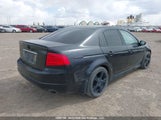 Acura Tl 19UUA66264A805223 снимка