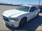 Dodge Charger 2C3CDXAG9CH290152 fotografie