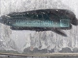Ford Mustang 1FA6P8TH5K5164491 снимка