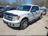 Ford F-150 Xlt 1FTFW1EF6EKF97775 снимка