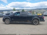 Ford F150 Supercrew 1FTFW1ET6EFA39746 снимка