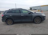 Mazda Cx-9 Grand Touring/Sport/Touring JM3TB38A090169834 снимка