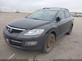 Mazda Cx-9 Grand Touring/Sport/Touring JM3TB38A090169834 снимка