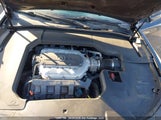 Acura Tl 19UUA9F55DA800672 снимка