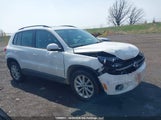 Volkswagen Tiguan S/Se/Sel/R-Line WVGJV3AX0EW546235 fotografie