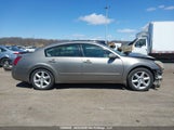 Nissan Maxima 3.5 Sl 1N4BA41E24C827435 снимка