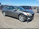 Nissan Maxima 3.5 Sl 1N4BA41E24C827435 снимка