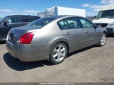 Nissan Maxima 3.5 Sl 1N4BA41E24C827435 снимка