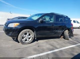 Toyota Rav4 2T3BF4DV0CW261519 photo