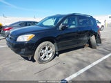Toyota Rav4 2T3BF4DV0CW261519 photo