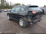 Jeep Cherokee Sport 1C4PJMAS2HW555320 снимка