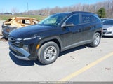 Hyundai Tucson Sel KM8JBCDE2TU473073 снимка