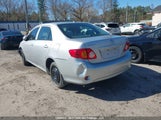 Toyota Corolla 2T1BU4EE5AC323797 снимка