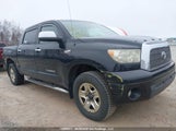 Toyota Tundra Limited 5.7L V8 5TBDV58177S486318 снимка