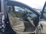 Acura Rdx Technology 5J8TB4H59HL801617 снимка