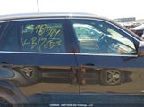 BMW X5 3.5I 5UXZV4C55D0B17653 снимка