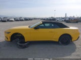 Ford Mustang 1FAGP8UH5R5124098 снимка