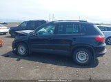 Volkswagen Tiguan Comfortline/Highline/Trendline WVGJV3AXXEW581395 photo