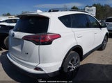 Toyota Rav4 Le 2T3ZFREV4HW315194 снимка
