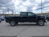 Ford F250 Super Duty 1FT7W2B60KEE69461 снимка