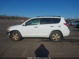 Toyota Rav4 Base V6 2T3BK4DV2CW067456 снимка