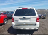 Ford Escape Xlt 1FMCU0D79AKC98395 снимка