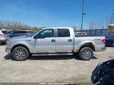 Ford F-150 1FTFW1EV2AFA59181 снимка