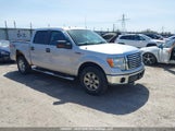 Ford F-150 1FTFW1EV2AFA59181 снимка