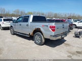 Ford F-150 1FTFW1EV2AFA59181 снимка