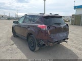 Toyota Rav4 Xle 2T3RFREV0HW658875 снимка