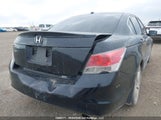 Honda Accord Exl JHMCP26878C021583 снимка