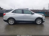 Chevrolet Equinox Ls 2GNAXREV9J6214834 снимка