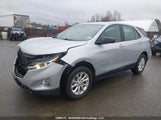 Chevrolet Equinox Ls 2GNAXREV9J6214834 снимка