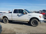 Ford F-150 Xlt 1FTFX1EV1AFC08032 photo