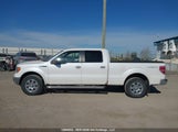 Ford F150 Supercrew 1FTFW1EVXAFB00950 снимка