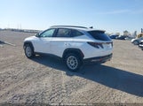 Hyundai Tucson Sel KM8JCCAEXNU029511 снимка