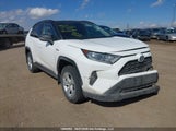Toyota Rav4 Xle/Xse 2T3RWRFVXKW025404 fotografie