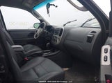 Ford Escape Xlt 1FMYU03127KB23532 снимка