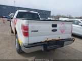 Ford F150 1FTPF1CF5DKD62306 photo