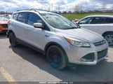 Ford Escape 1FMCU0G95EUC87093 fotografie